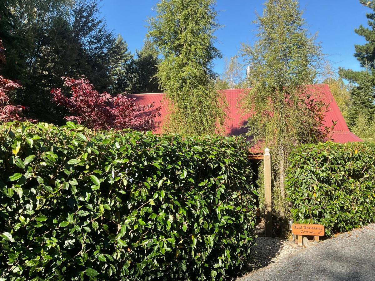 Real Romance Cottage ハンマー・スプリングス エクステリア 写真